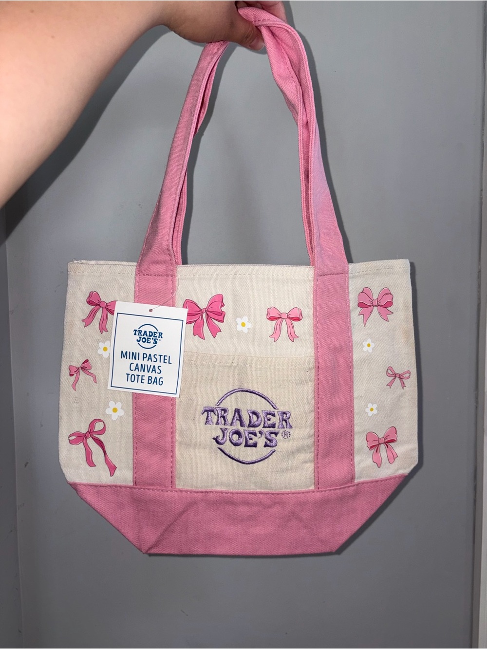 Pink Pastel Trader Joe’s Canvas Tote Mini Bag